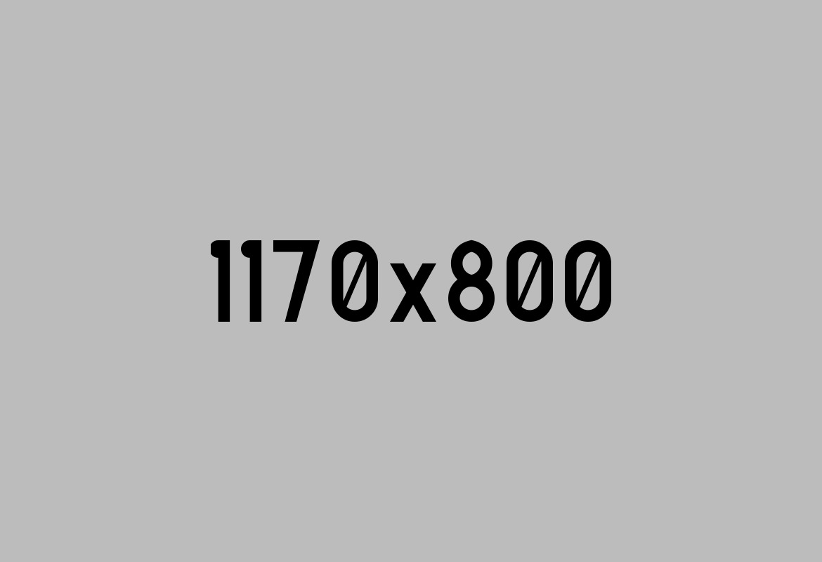 Optima Premium Template
